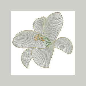 Casa Blanca Lily Flower Transparency
