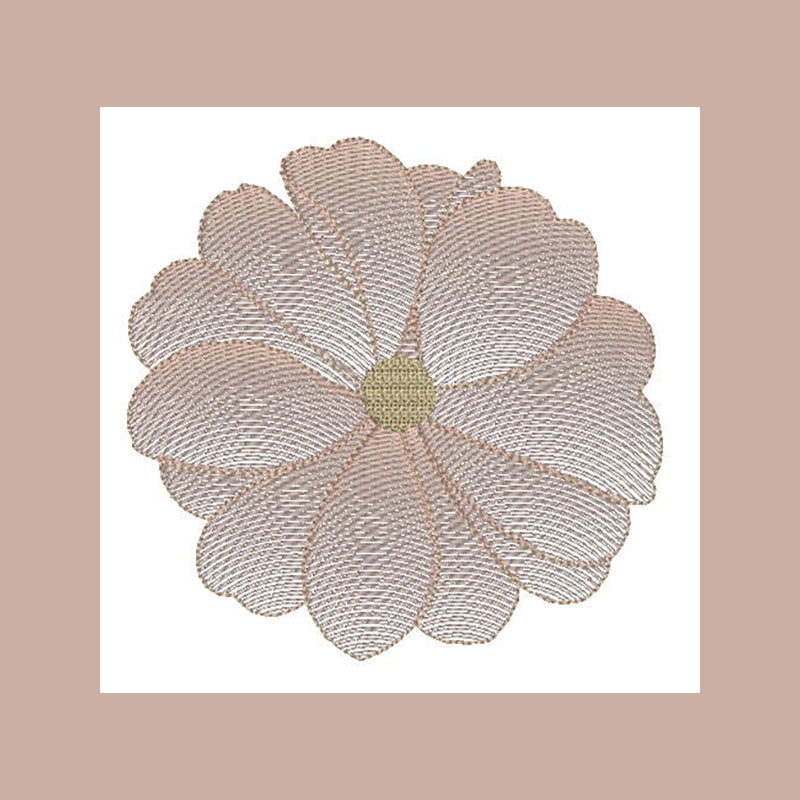 Cosmos Flower Transparency