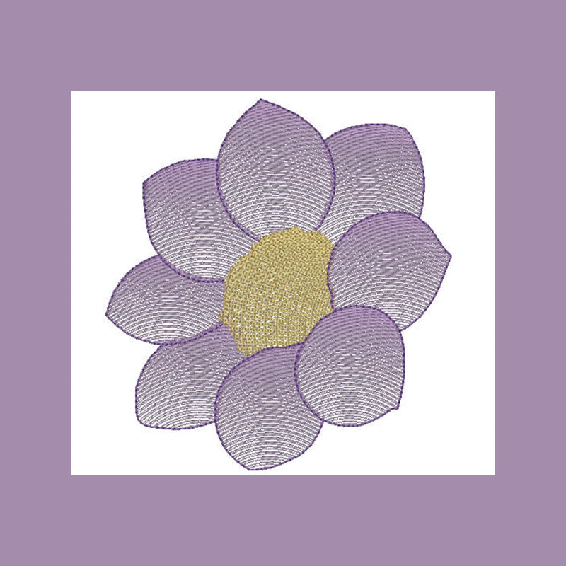 Dahlia Flower Transparency