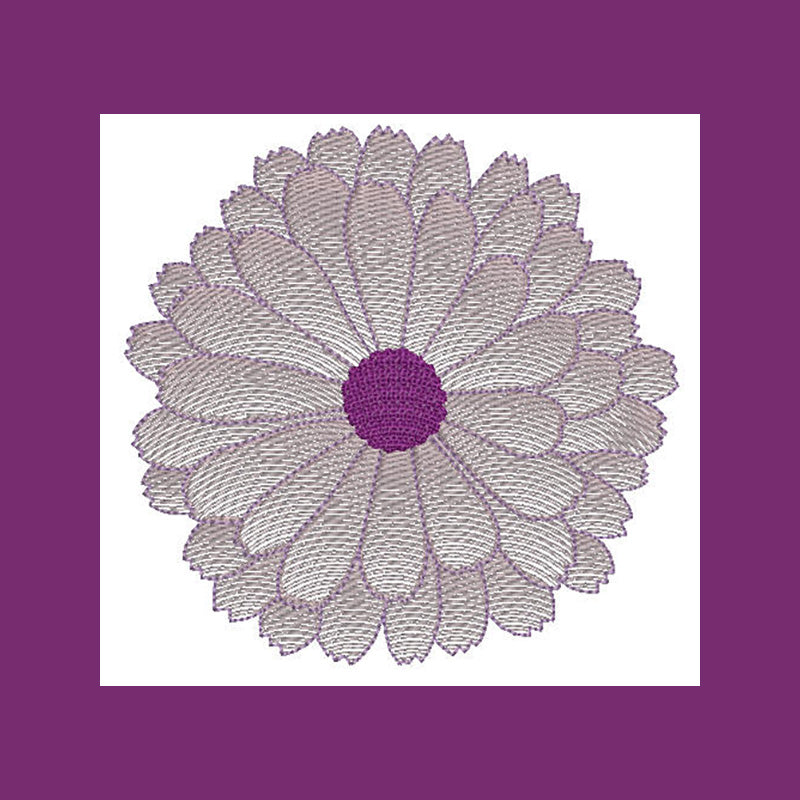 Daisy Flower Transparency