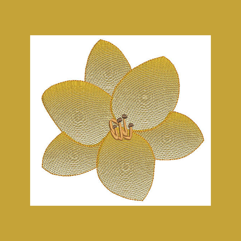 Copper Crown Lily Flower Transparency