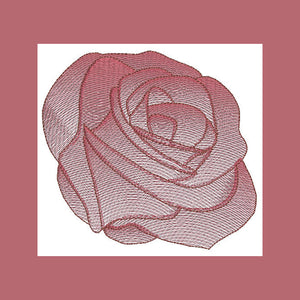 Rose Flower Transparency