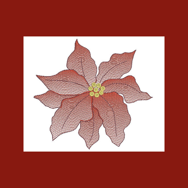 Poinsettia Flower Transparency