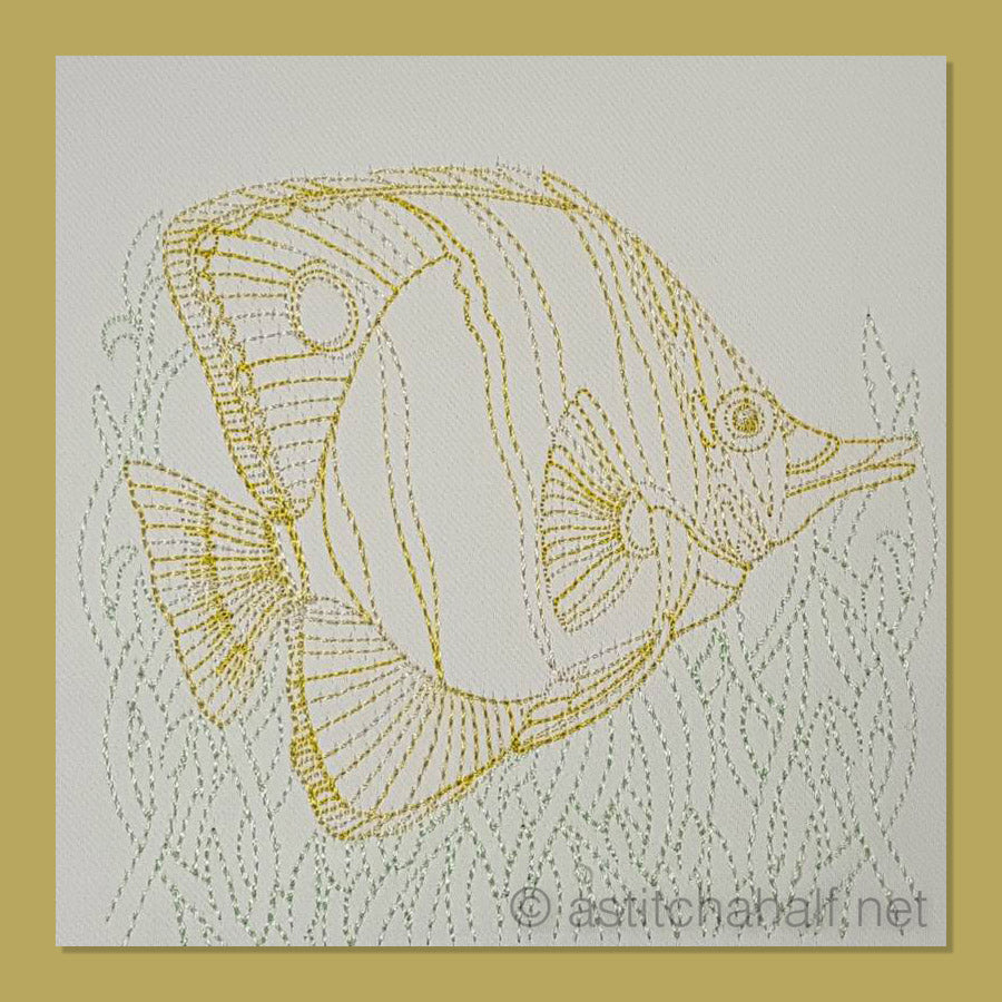 Copperband Butterfly Fish