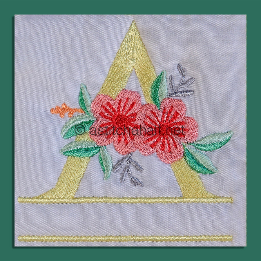 Dreamscapes Monogram Combo - aStitch aHalf