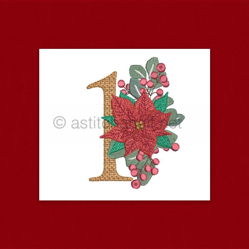 Poinsettia and Eucalyptus Monogram Number 1