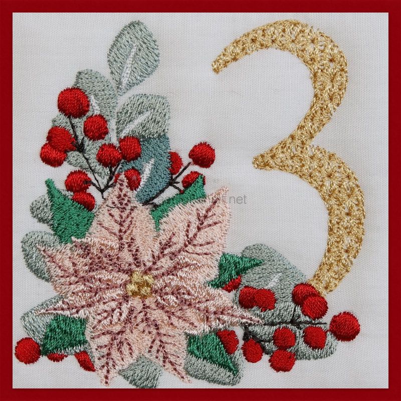 Poinsettia and Eucalyptus Monogram Number 3