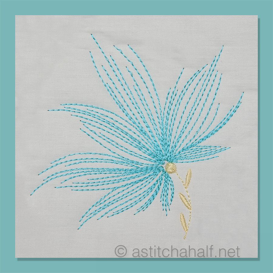 Feathers in the Wind Single