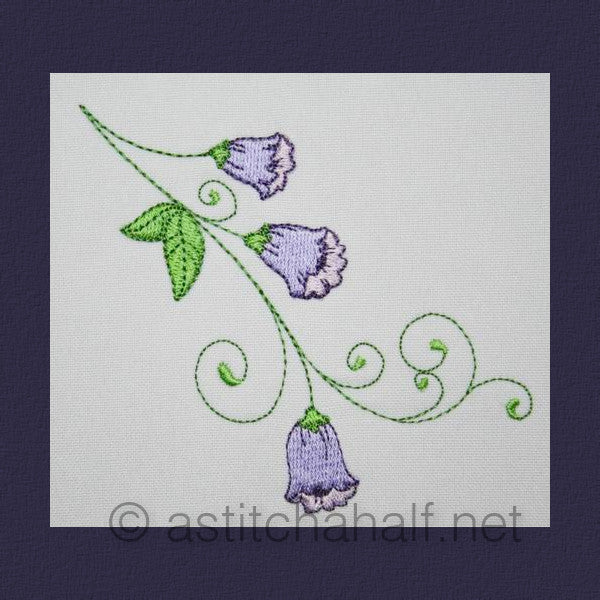 Popular Wild Bell Flowers