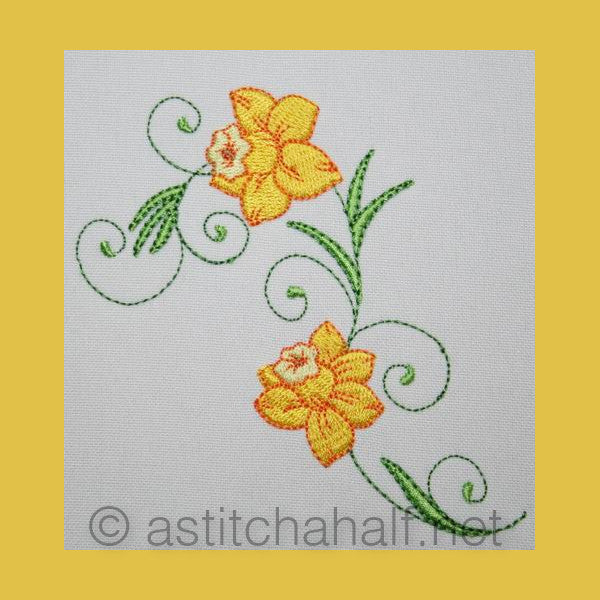 Popular Narcissus Daffodil Flowers