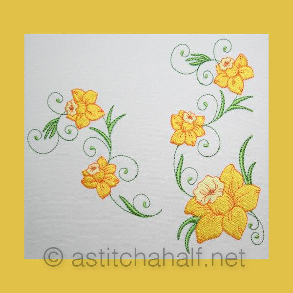 Popular Narcissus Daffodil Flowers