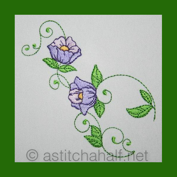 Popular Purple Poppy Flowers