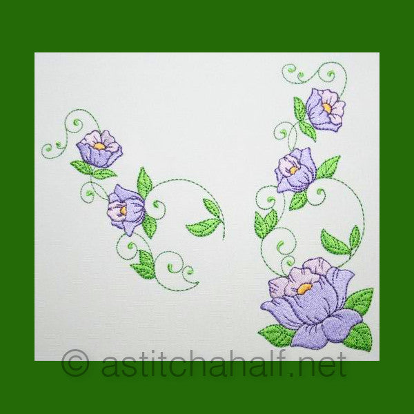 Popular Purple Poppy Flowers