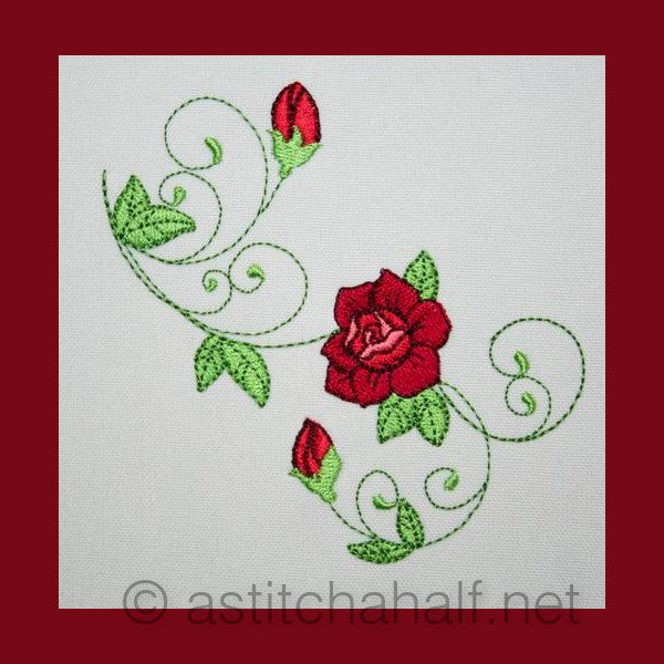 Popular Climbing Roses