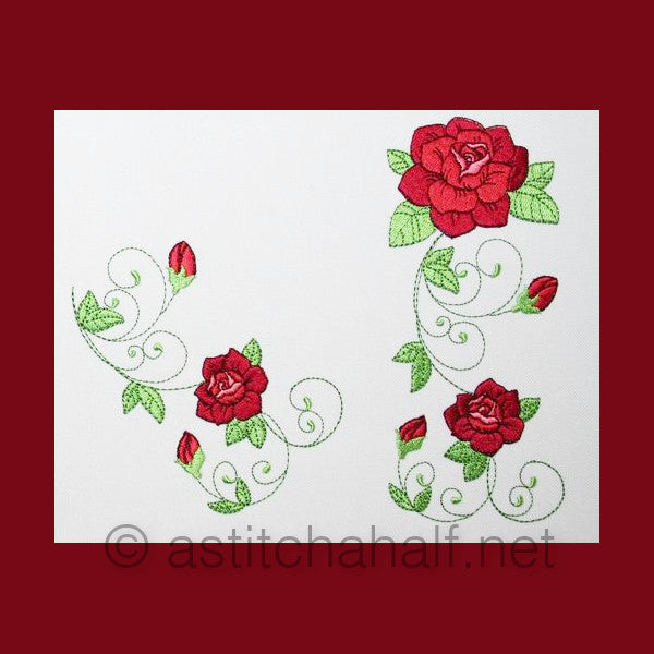 Popular Climbing Roses