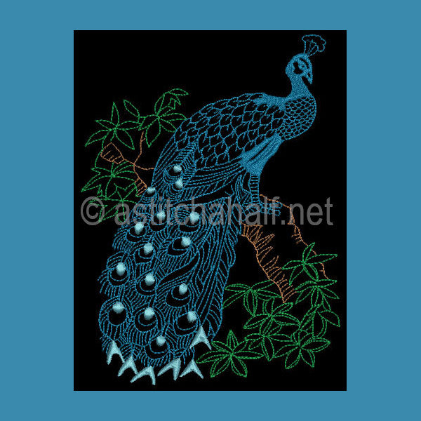 Peacock on branch