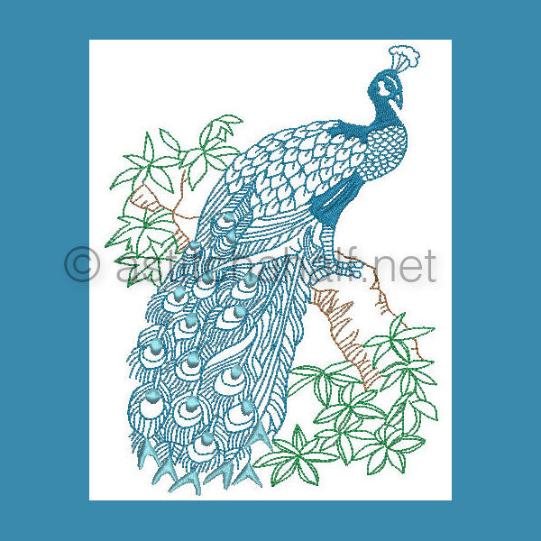 Peacock on branch