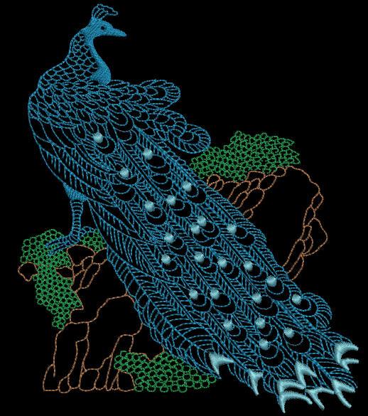 Chinese Peacock 03 - aStitch aHalf