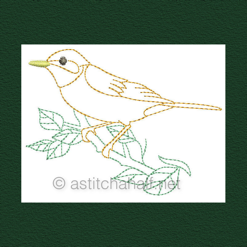Botany and Birds Outlines - a-stitch-a-half