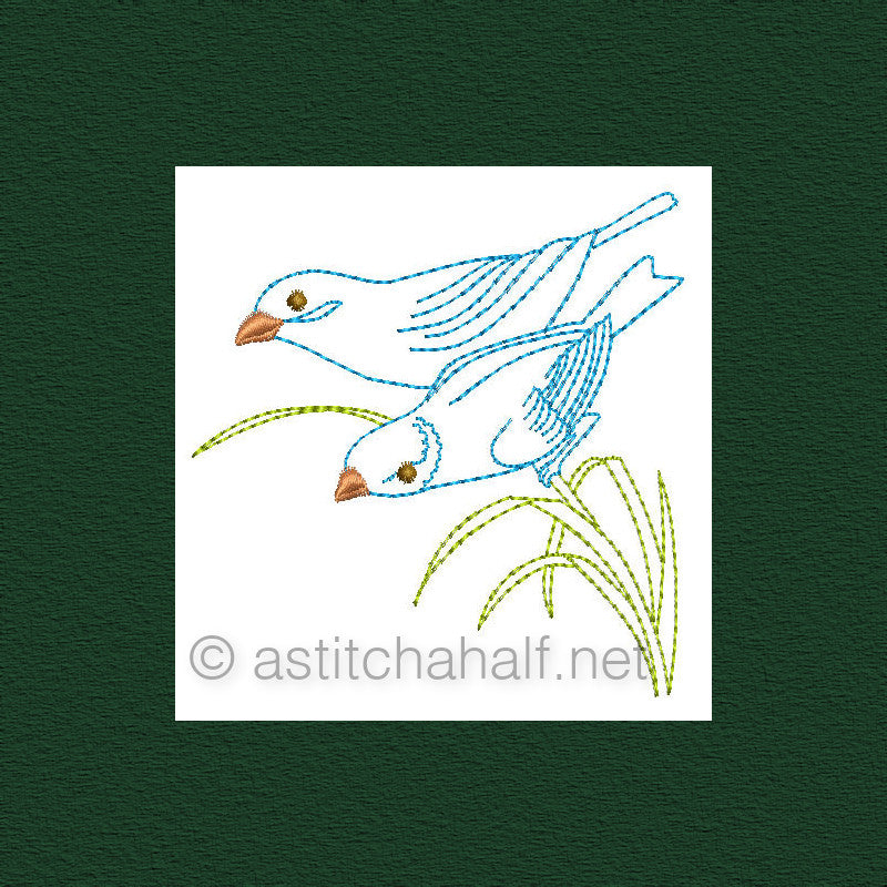 Botany and Birds Outlines - a-stitch-a-half