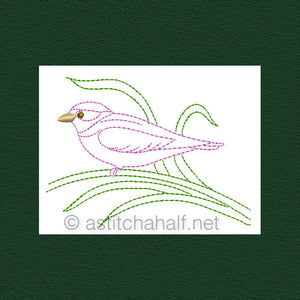 Botany and Birds Outlines - a-stitch-a-half
