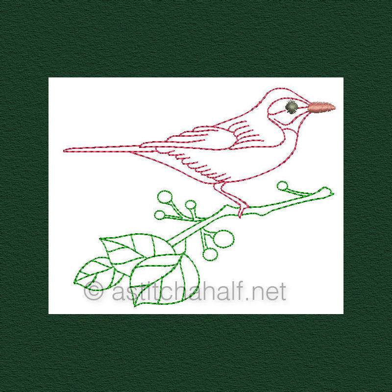 Botany and Birds Outlines - a-stitch-a-half