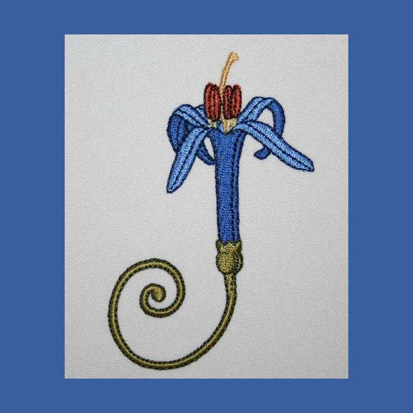 Border Montage Combo 04 - a-stitch-a-half