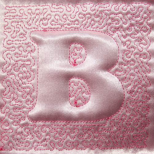 Trapunto Educational Quilt 01 - a-stitch-a-half