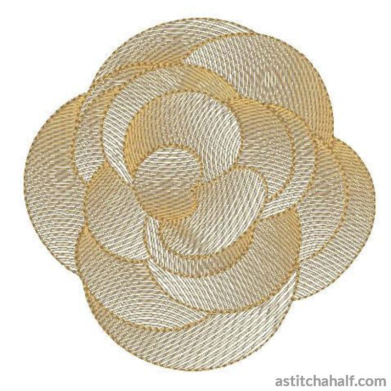 Begonia Flower Transparency