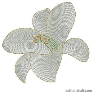 Casa Blanca Lily Flower Transparency - aStitch aHalf
