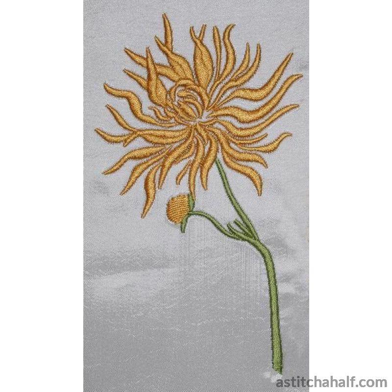 Chrysanthemum Flowers - aStitch aHalf