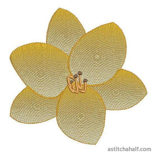 Copper Crown Lily Flower Transparency - aStitch aHalf