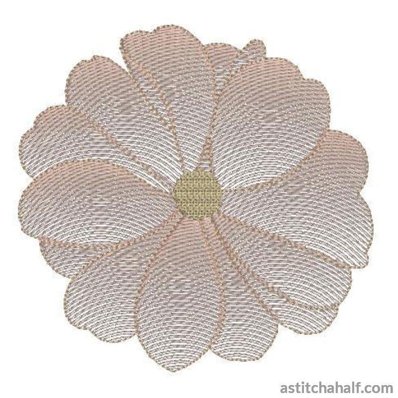 Cosmos Flower Transparency