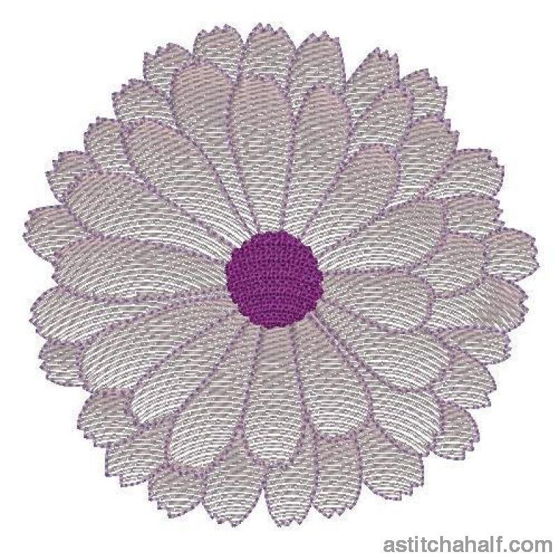 Daisy Flower Transparency