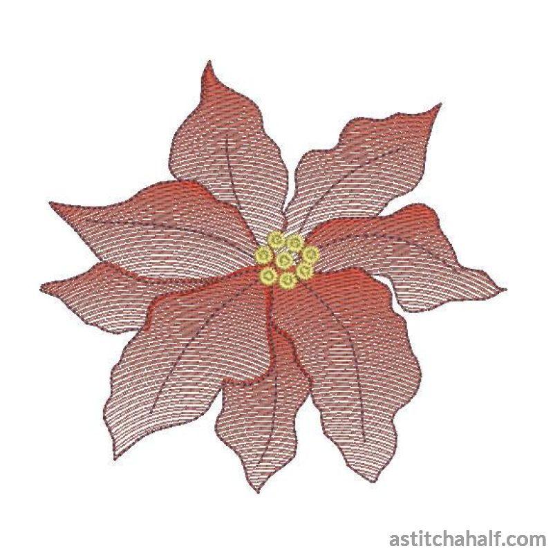 Poinsettia Flower Transparency