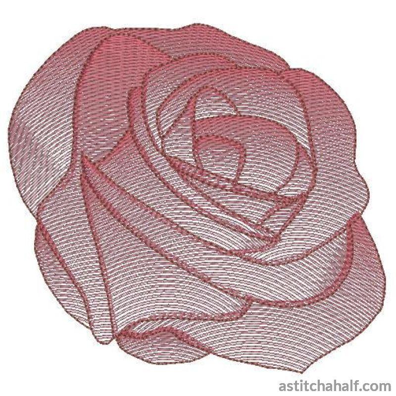 Rose Flower Transparency