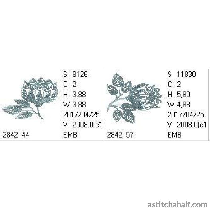 Simple Accent Protea - aStitch aHalf