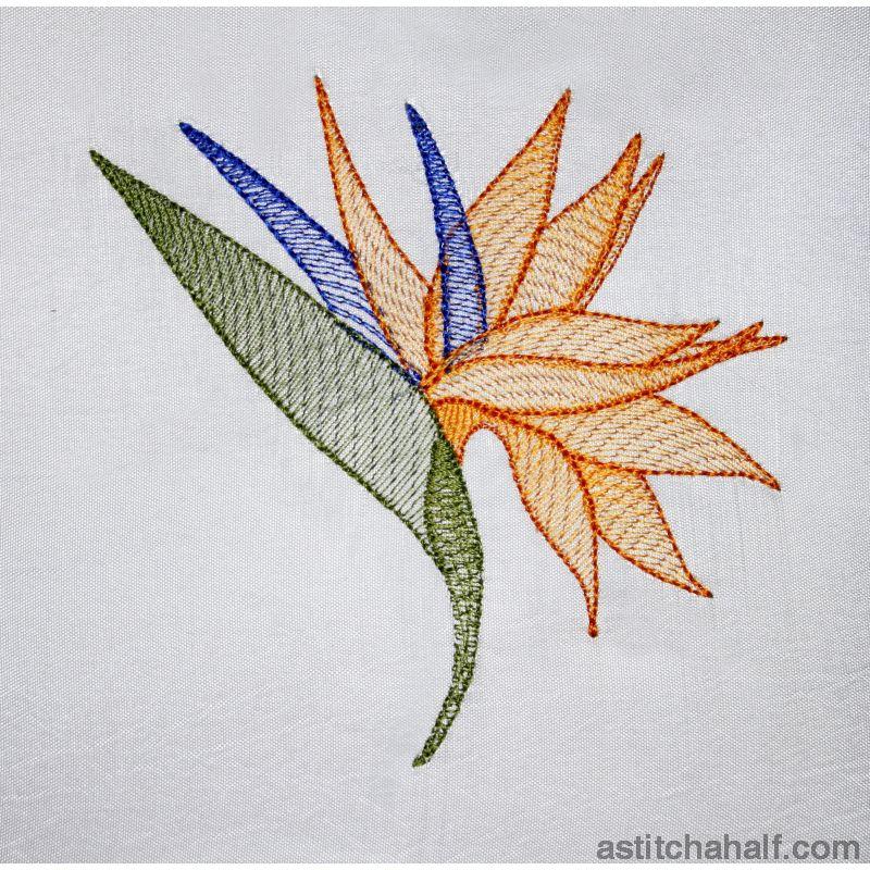 Strelitzia Flower Transparency - aStitch aHalf