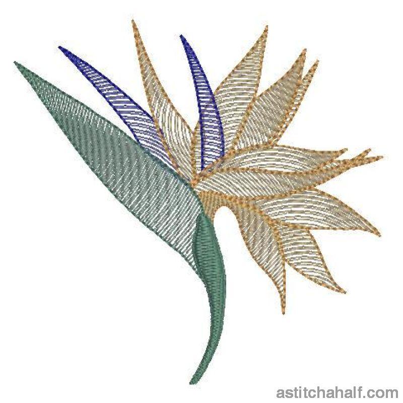 Strelitzia Flower Transparency - aStitch aHalf