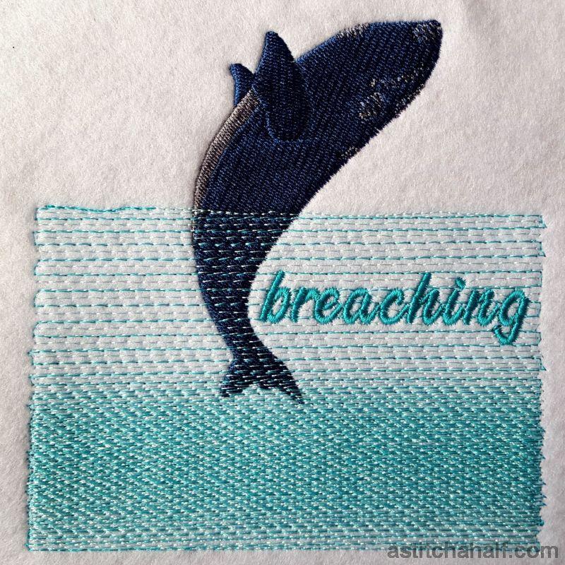Whale Breaching - aStitch aHalf