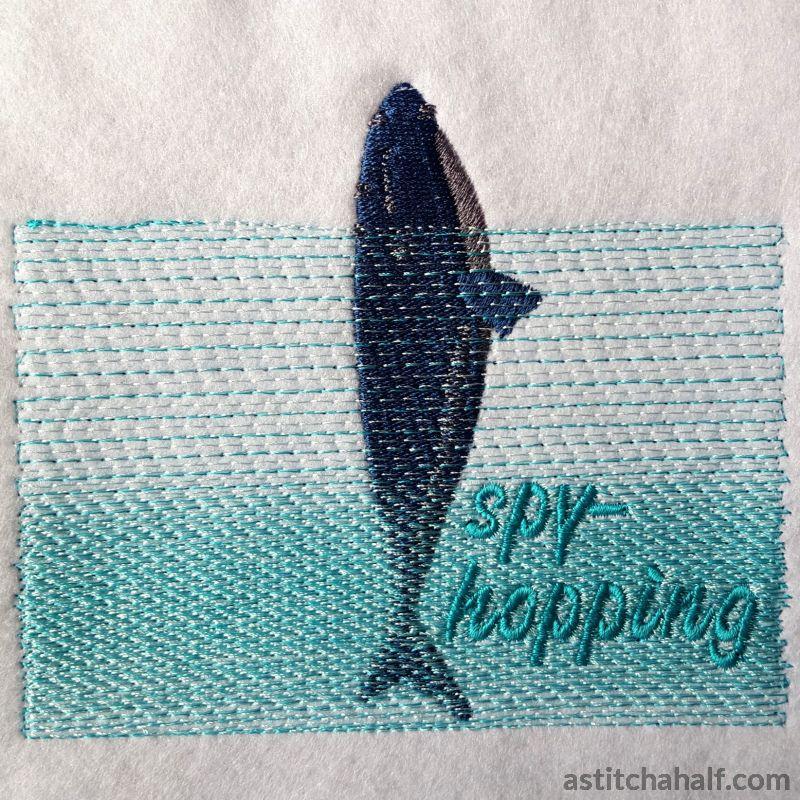 Whale Spyhopping - aStitch aHalf